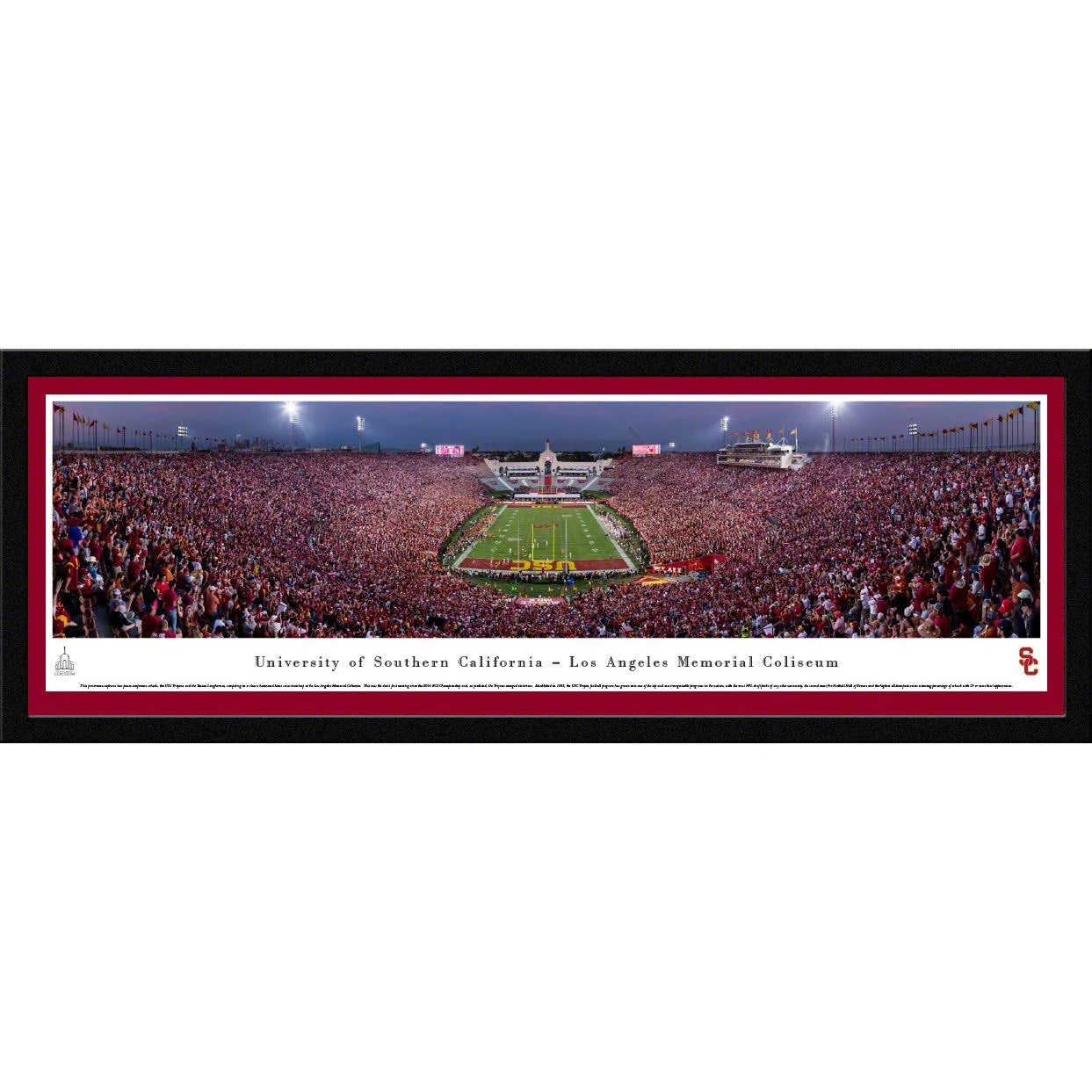 Standard Frame Football M37533