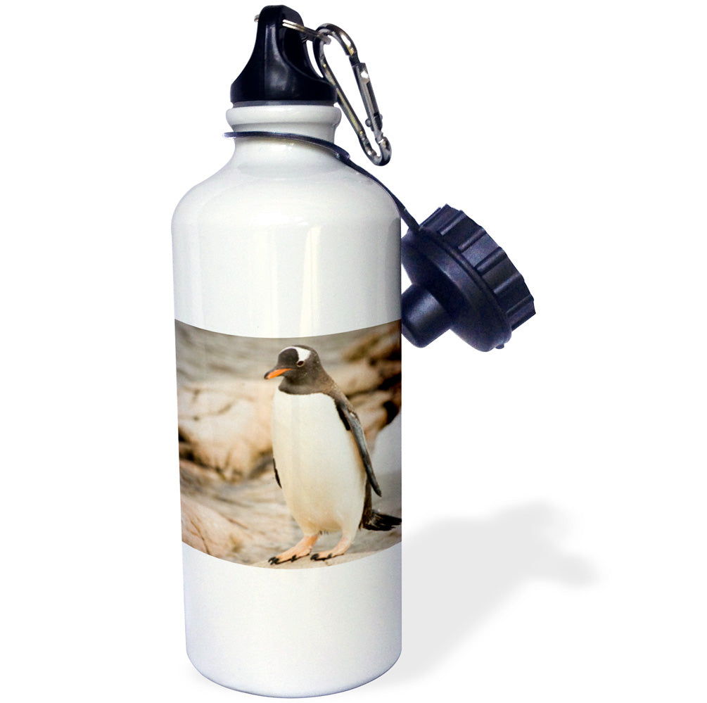 21oz Sports Water Bottle P12241