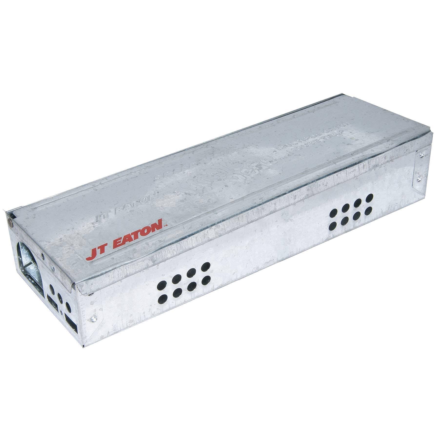 12 Pack Multiple Catch Mouse Trap H198