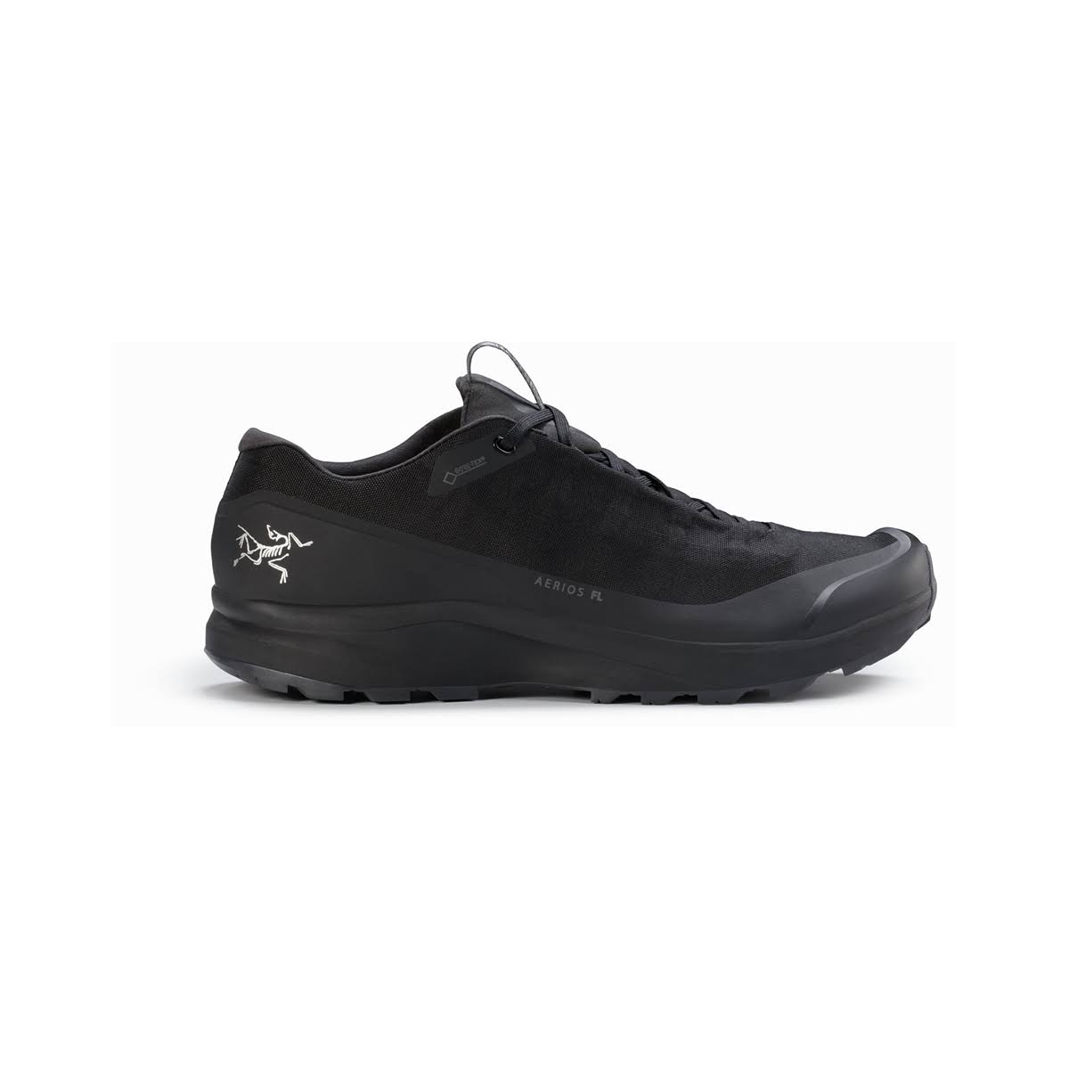 Black Aerios GTX Hiking Shoes F9017