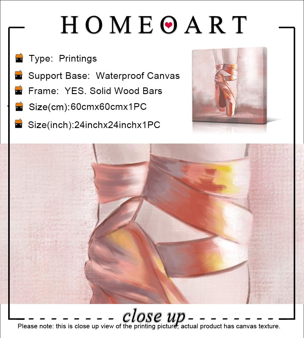 Pink Ballet Shoes Canvas Framed Artwork 24x24 D241