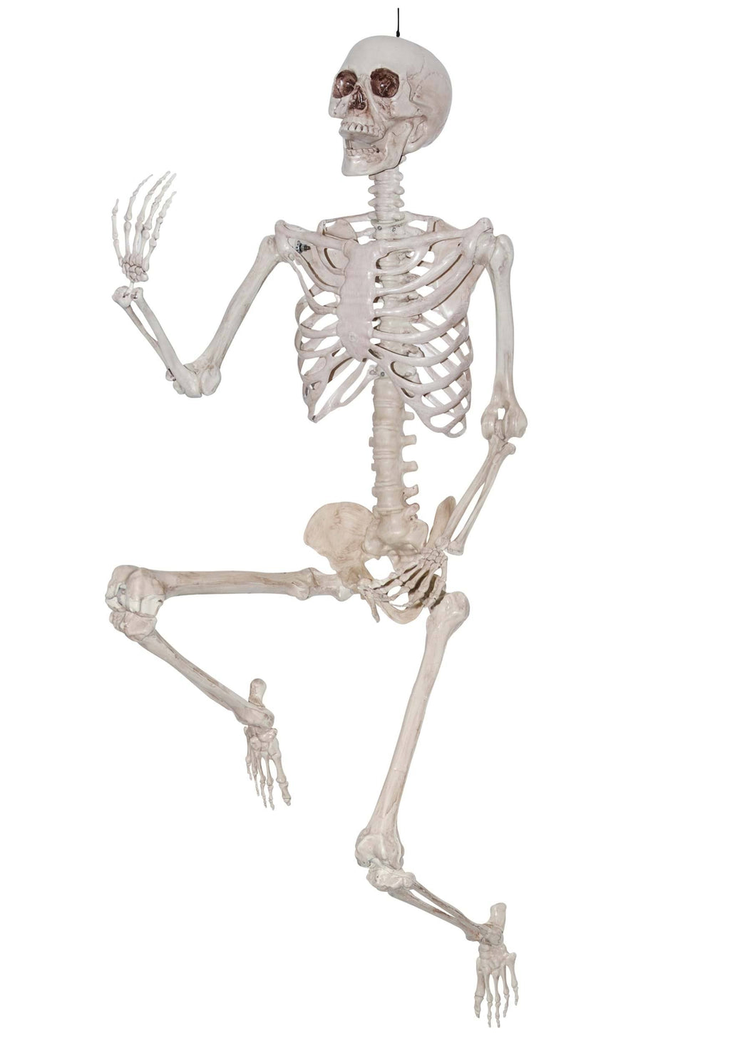 84 inch Titan Skeleton I5826