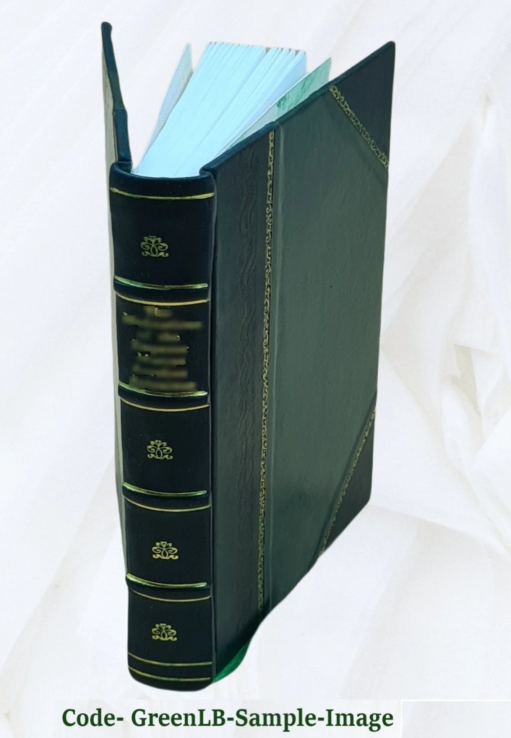 Leather Bound Book H332