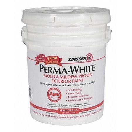 Satin Interior/Exterior Paint, Water Base, White, 5 Gal U248158