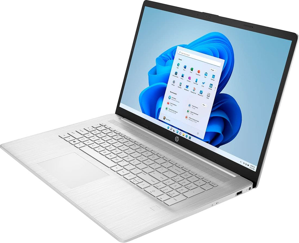 17.3'' Full HD AMD Ryzen 5 5500U 32GB RAM 1TB SSD Windows 11 Home Natural Silver Laptop L687536
