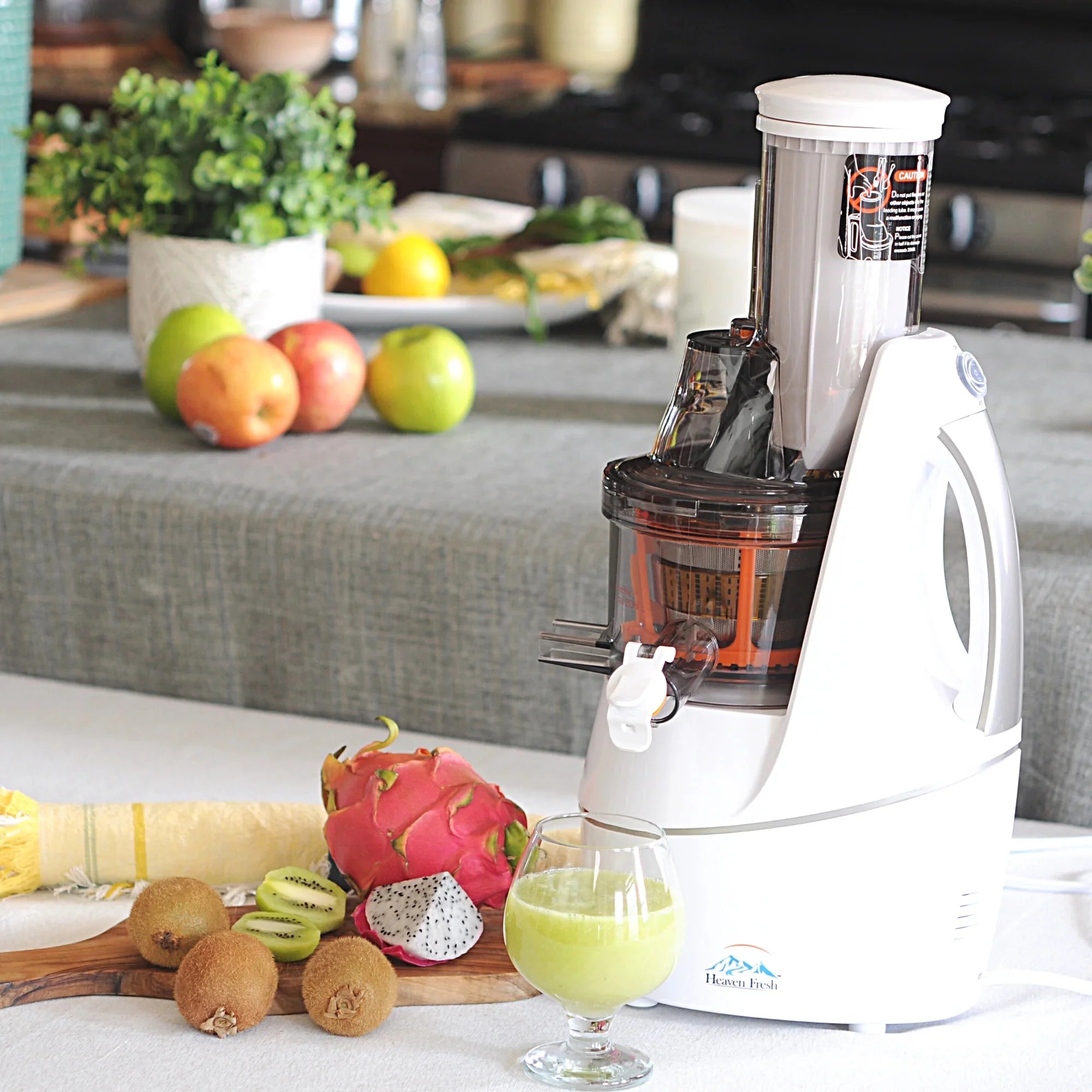 Cold Press Juicer Machine T9832