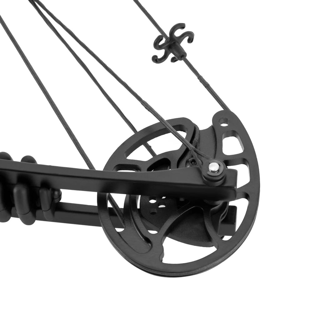 Compound Bow with 12 Arrows, 24-29.5 inches Draw Distance, 310FPS K874