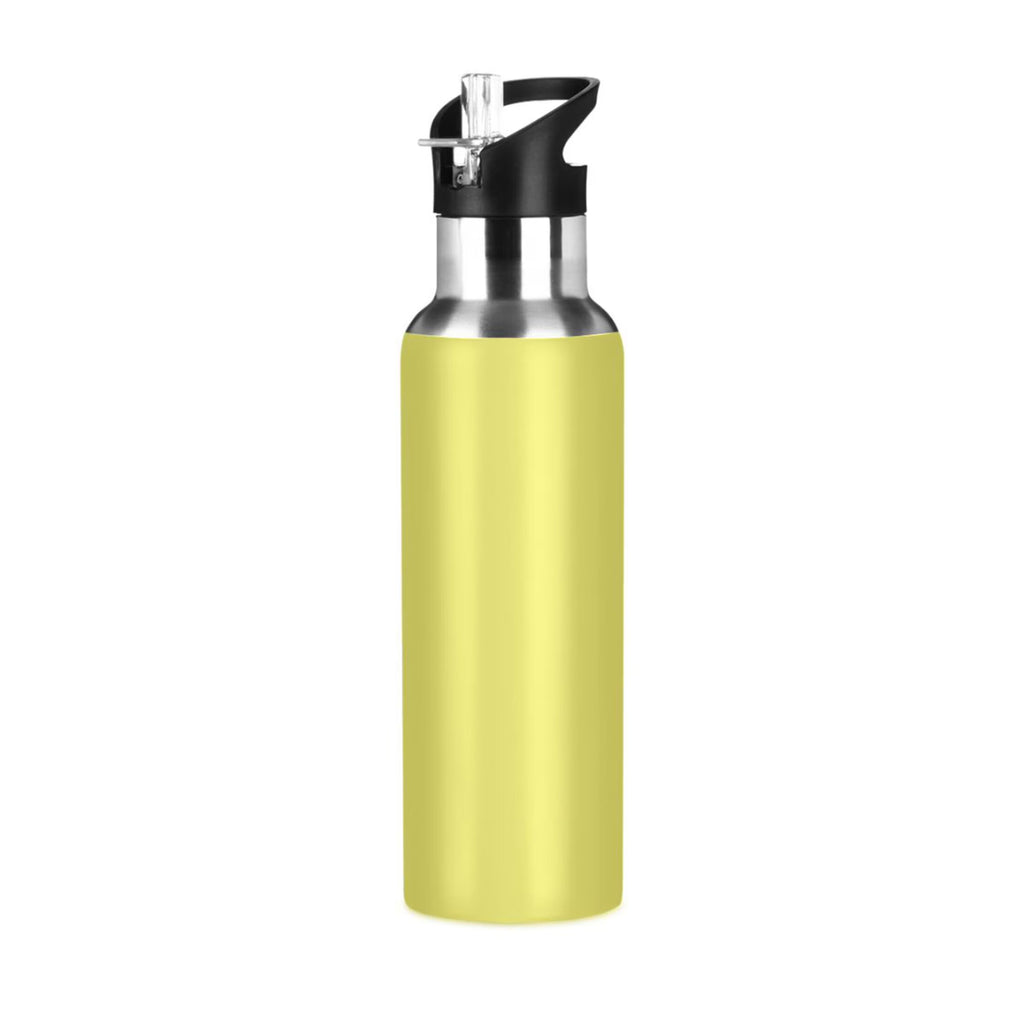 20 OZ Stainless Steel Vacuum Insulated Water Bottle with Straw Lid Y56433