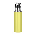 20 OZ Stainless Steel Vacuum Insulated Water Bottle with Straw Lid Y56433