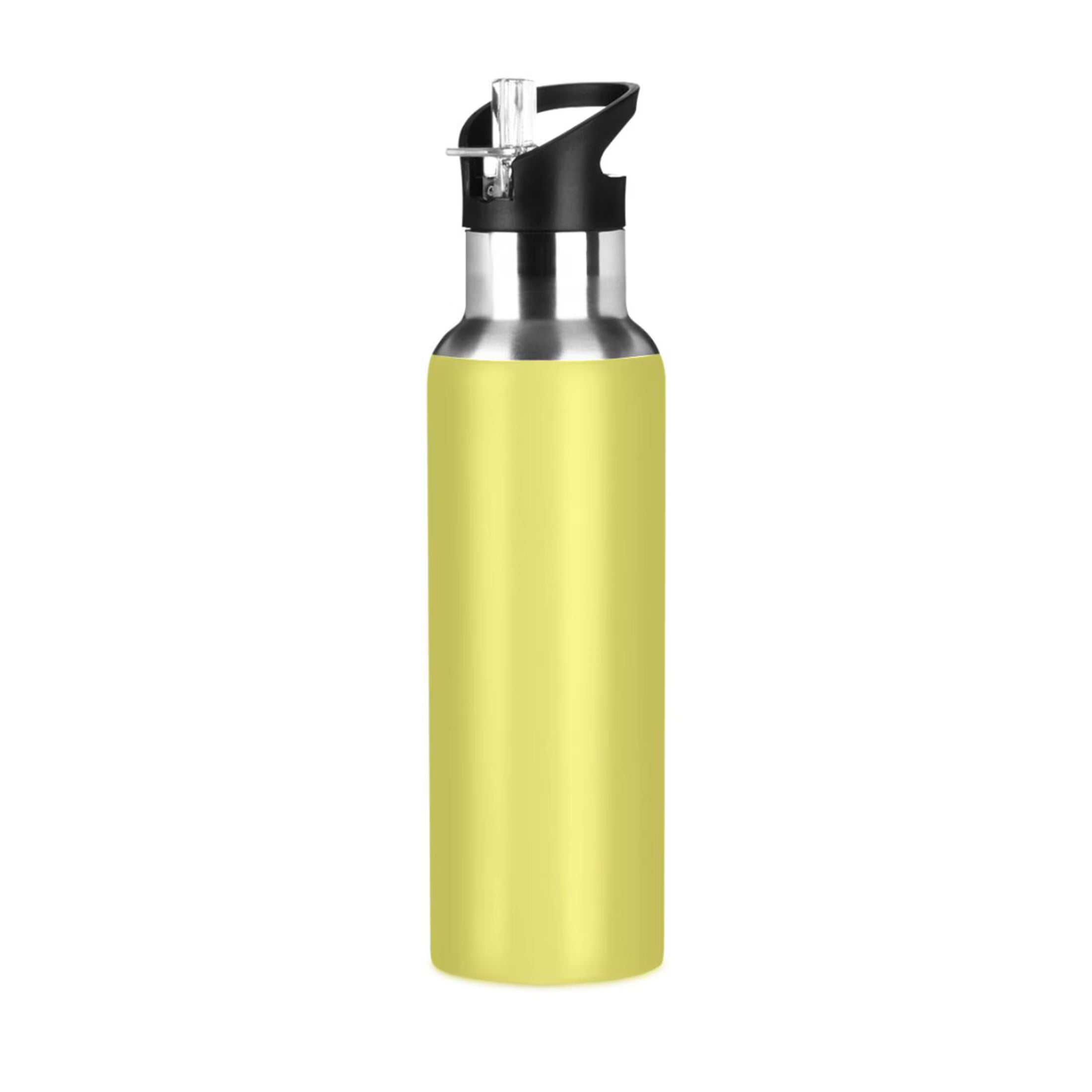 20 OZ Stainless Steel Vacuum Insulated Water Bottle with Straw Lid Y56433