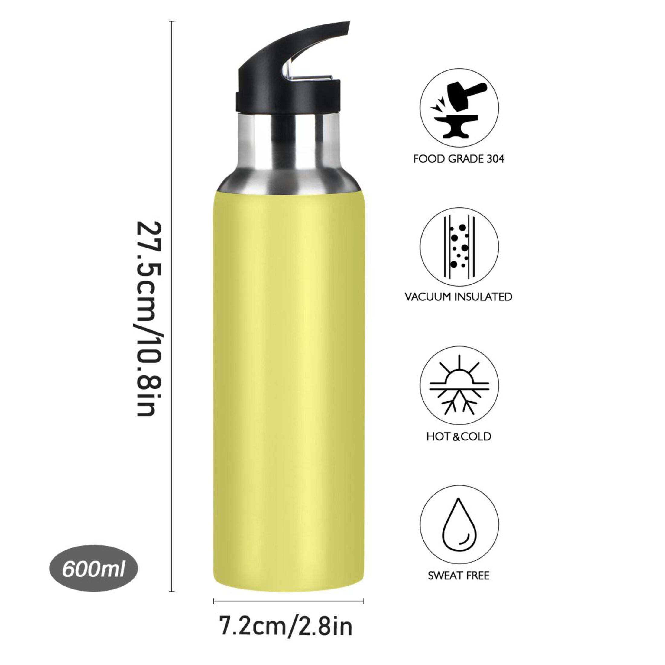 20 OZ Stainless Steel Vacuum Insulated Water Bottle with Straw Lid Y56433