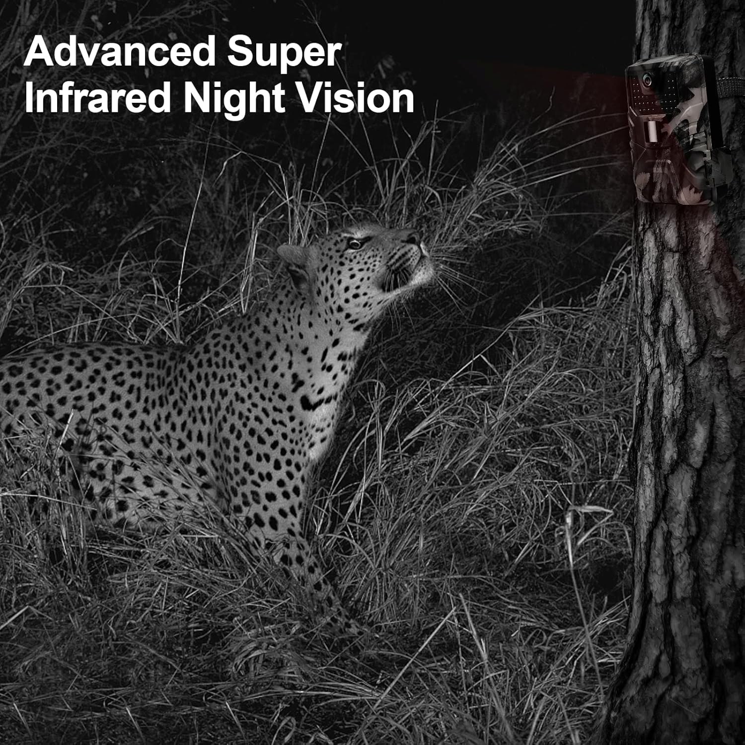4K 30MP WiFi Trail Camera with No Glow Night Vision IP66 Waterproof (64G SD Card) T1408