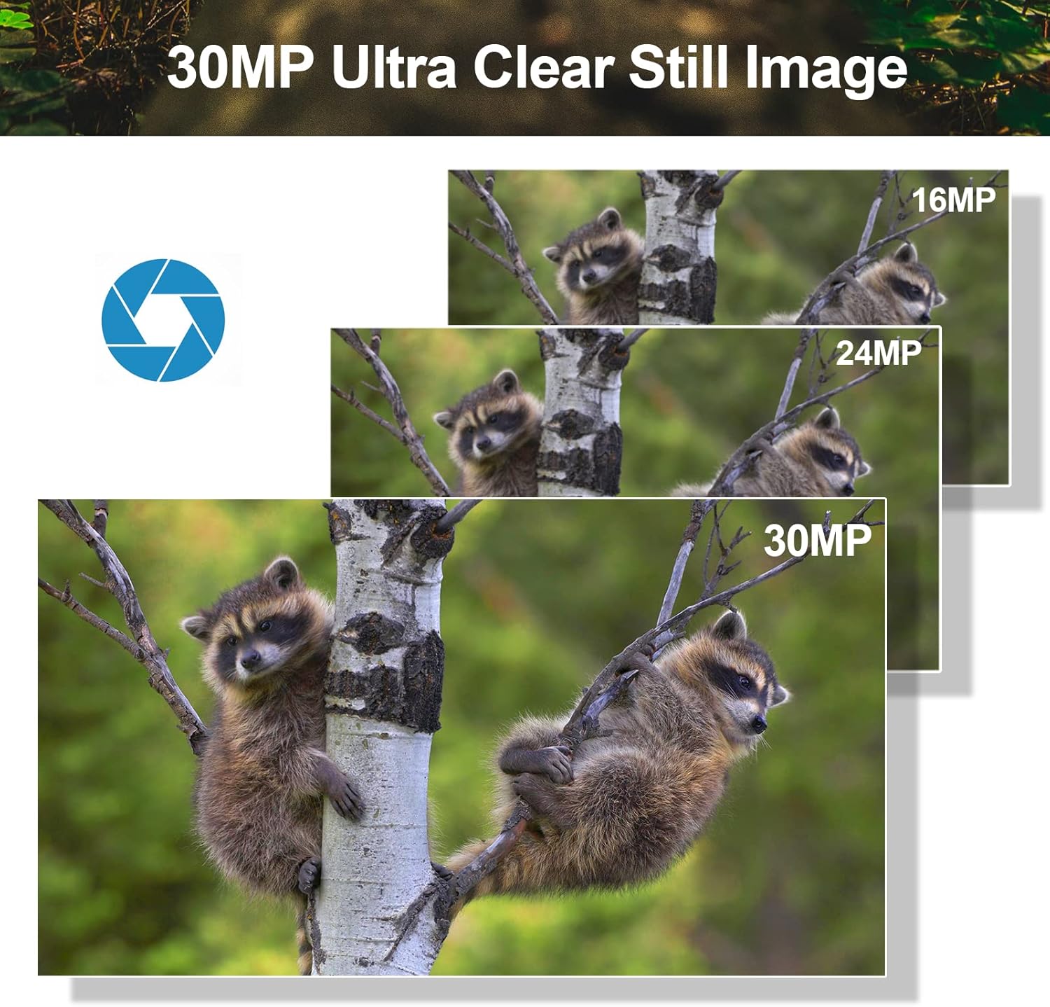 4K 30MP WiFi Trail Camera with No Glow Night Vision IP66 Waterproof (64G SD Card) T1408