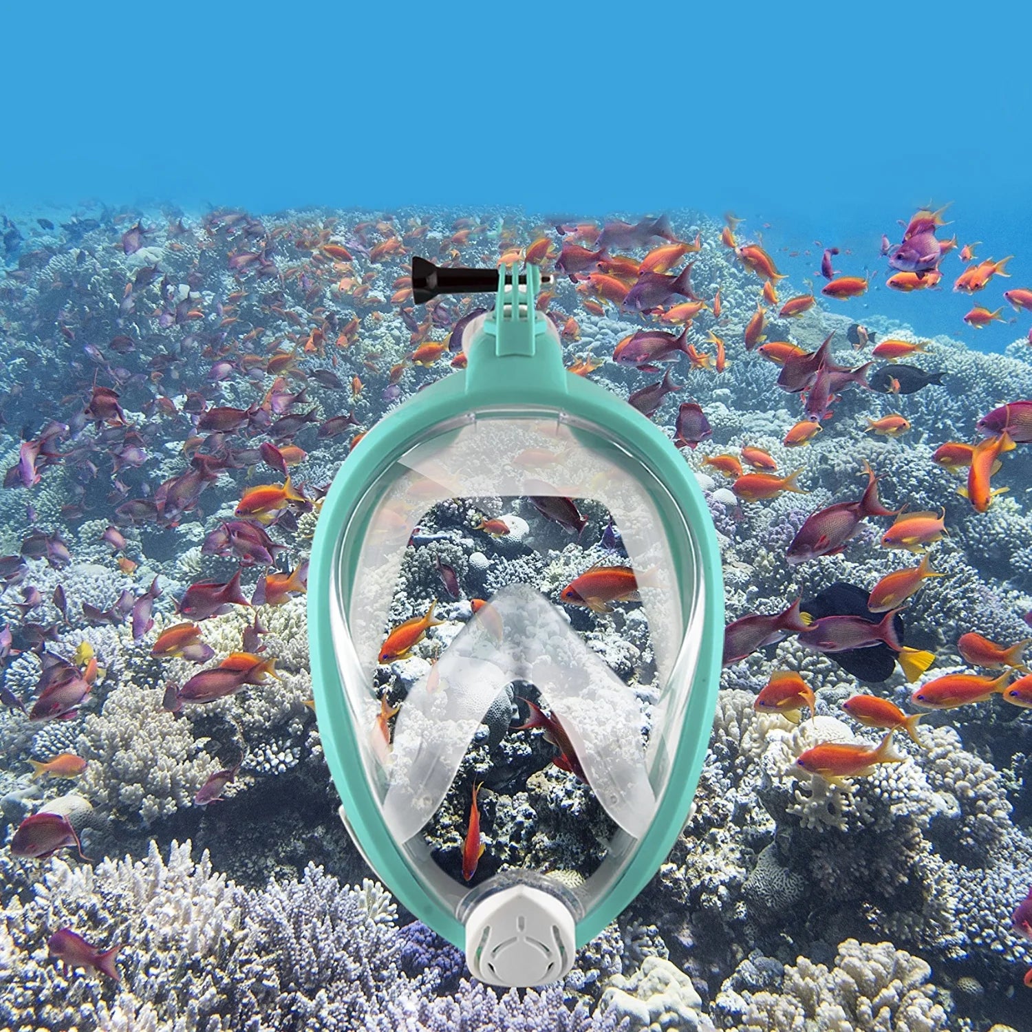 Turquoise Full Face Snorkel Mask with Action Camera Compatible Y3820