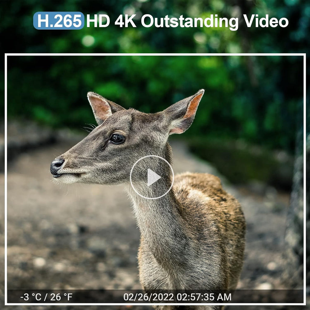 4K 30MP WiFi Trail Camera with No Glow Night Vision IP66 Waterproof (64G SD Card) T1408