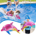 Inflatable Dolphin Pool Toy G287136