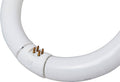 40-Watt 2700-Lumen T9 Circuline Fluorescent Lamp Cool White 12-Pack K867179
