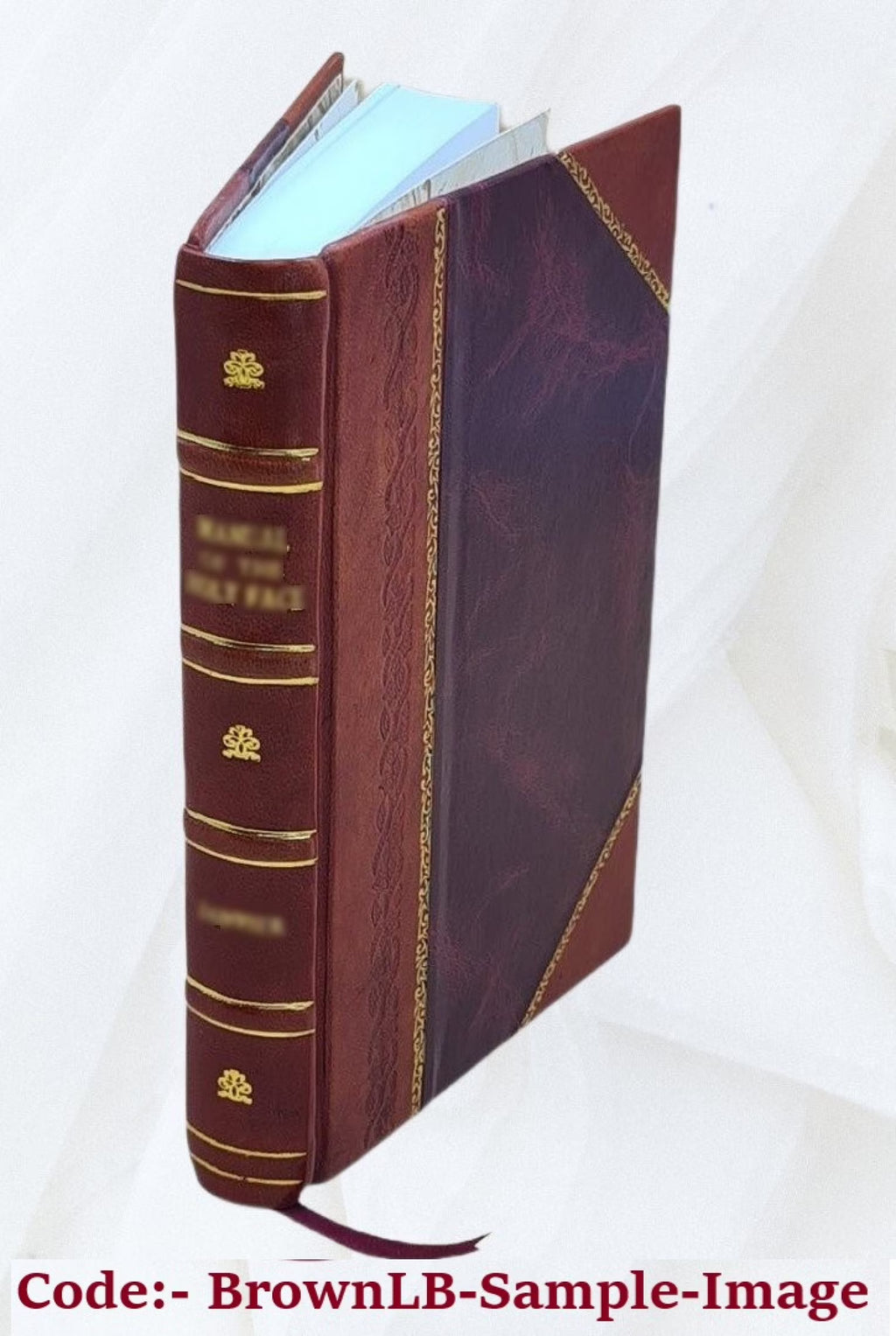 Leather Bound Book H332