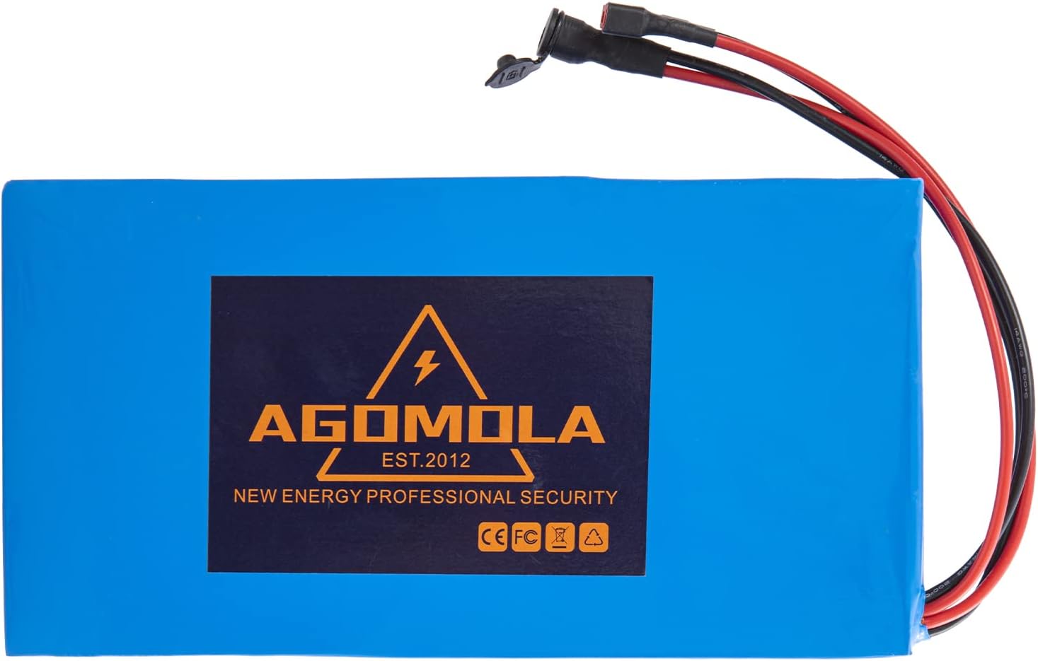 48v 10Ah Lithium ion Ebike Battery Pack with Charger BMS U589897