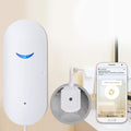 2 Pack WiFi Water Leak Sensor Alarm I294