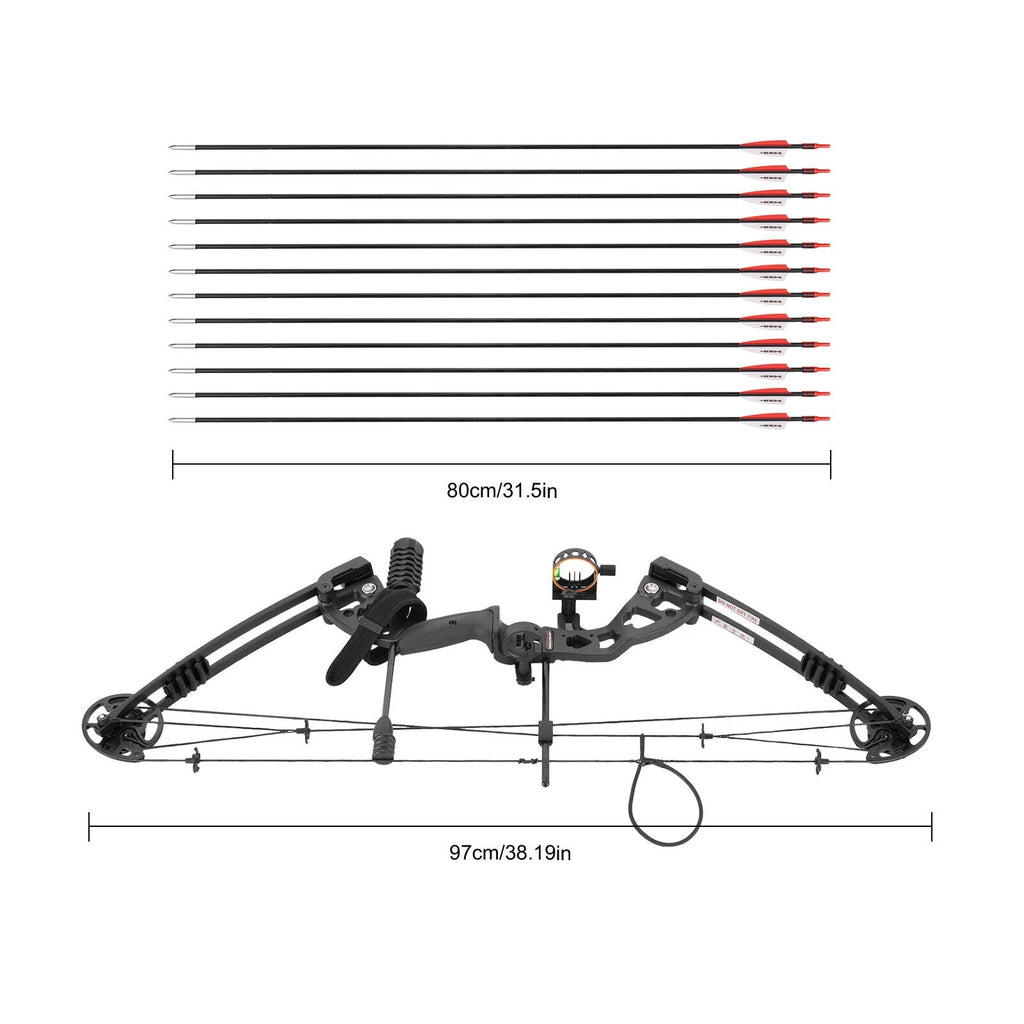 Compound Bow with 12 Arrows, 24-29.5 inches Draw Distance, 310FPS K874