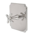 Satin Brass Balanced Pressure Shower Trim Plate with Lever Handle W505249