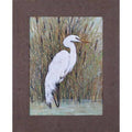 Framed Print E68110