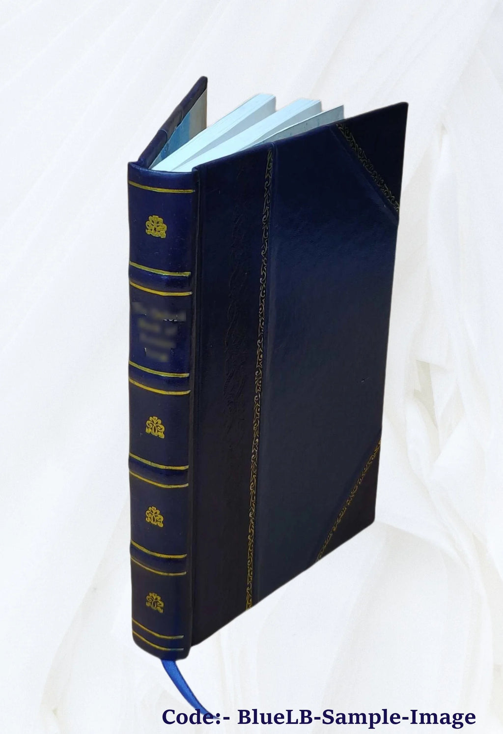 Leather Bound Book H332