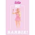 Maxi Poster R83023