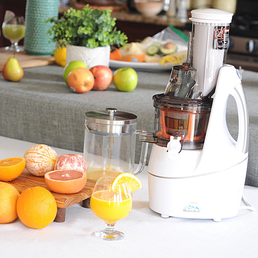 Cold Press Juicer Machine T9832