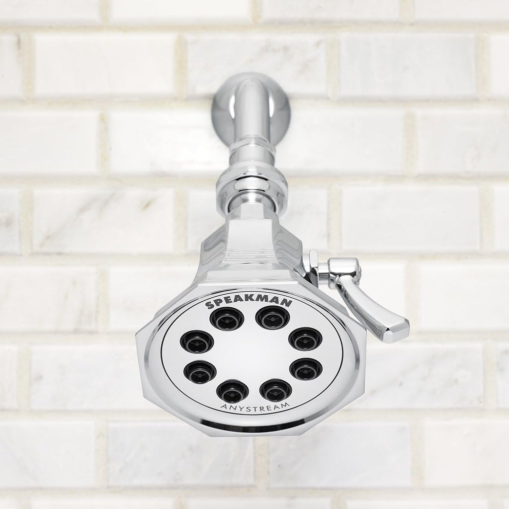 Polished Chrome Shower Head T629