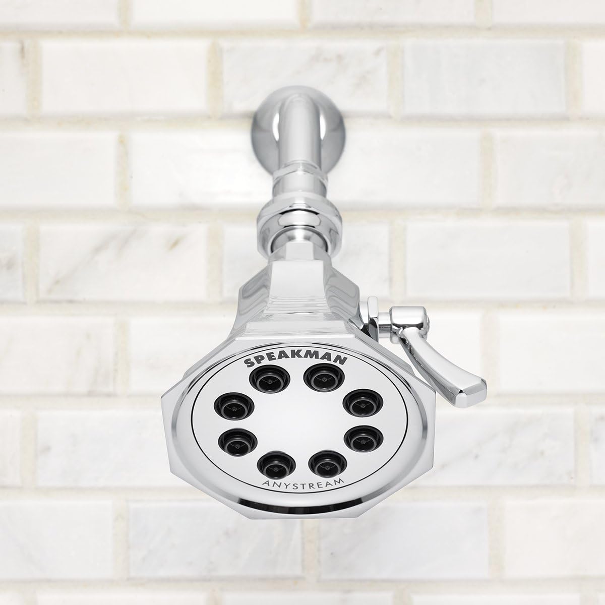 Polished Chrome Shower Head T629