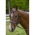 Bridle L692582