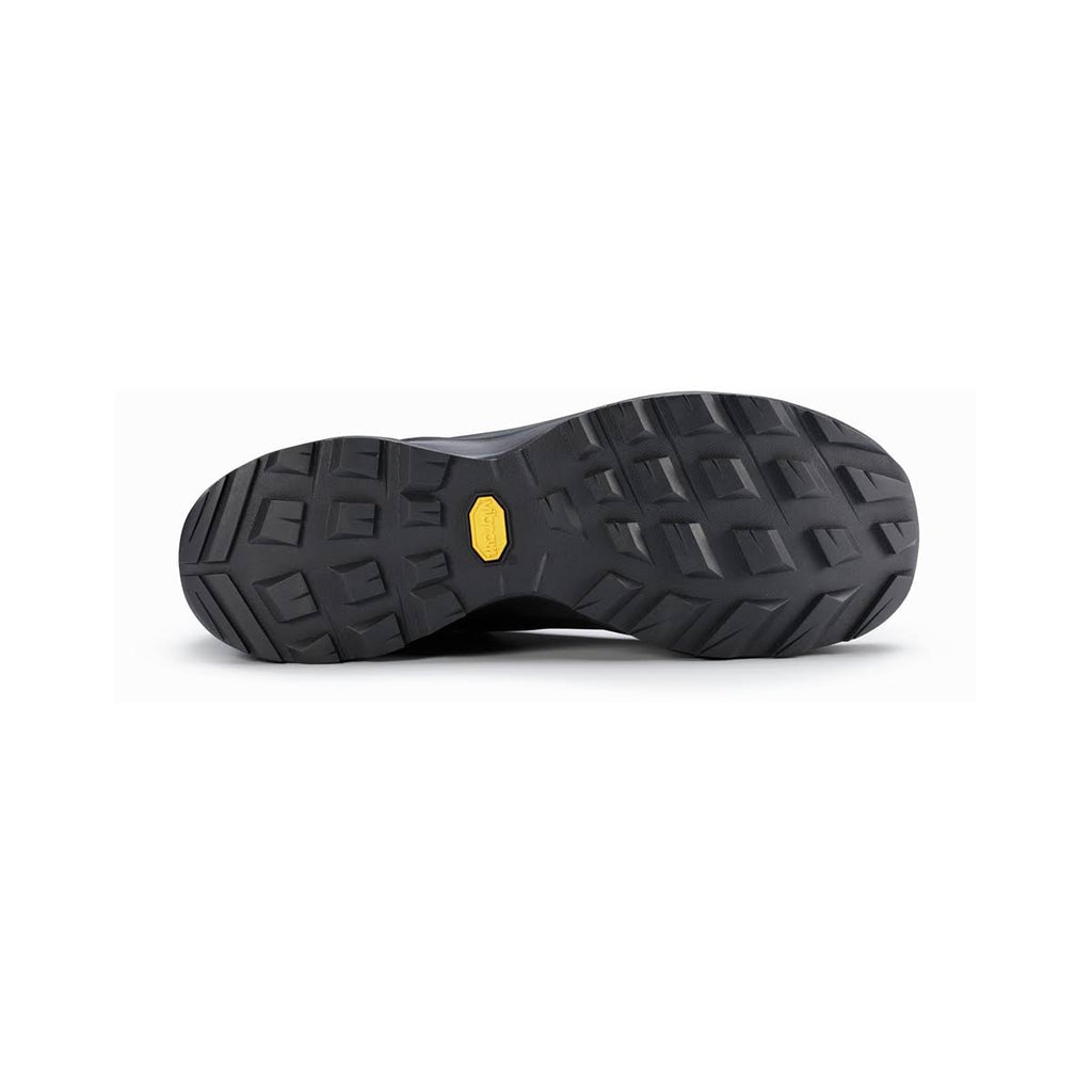 Black Aerios GTX Hiking Shoes F9017
