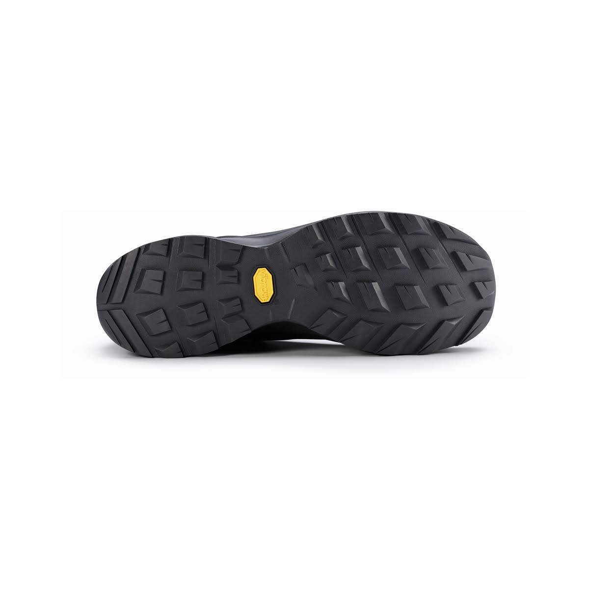 Black Aerios GTX Hiking Shoes F9017