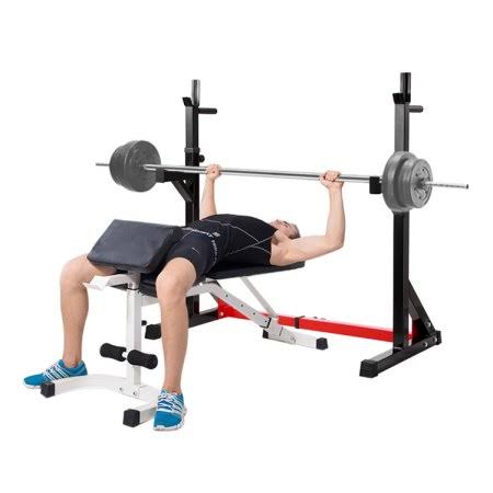 Adjustable Barbell Rack Dip Stand Squat Rack Weight Lifting Bench Press R9418