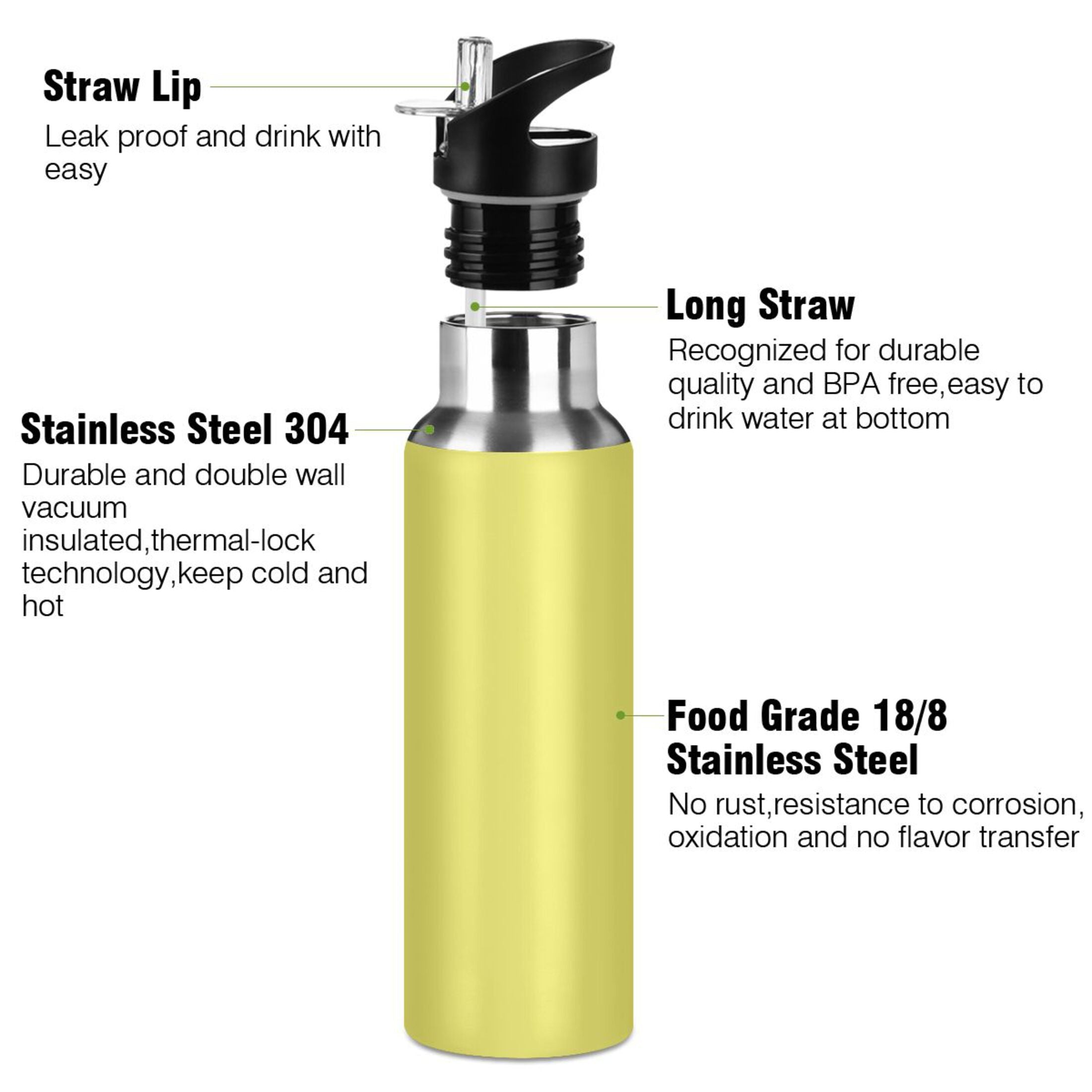 20 OZ Stainless Steel Vacuum Insulated Water Bottle with Straw Lid Y56433