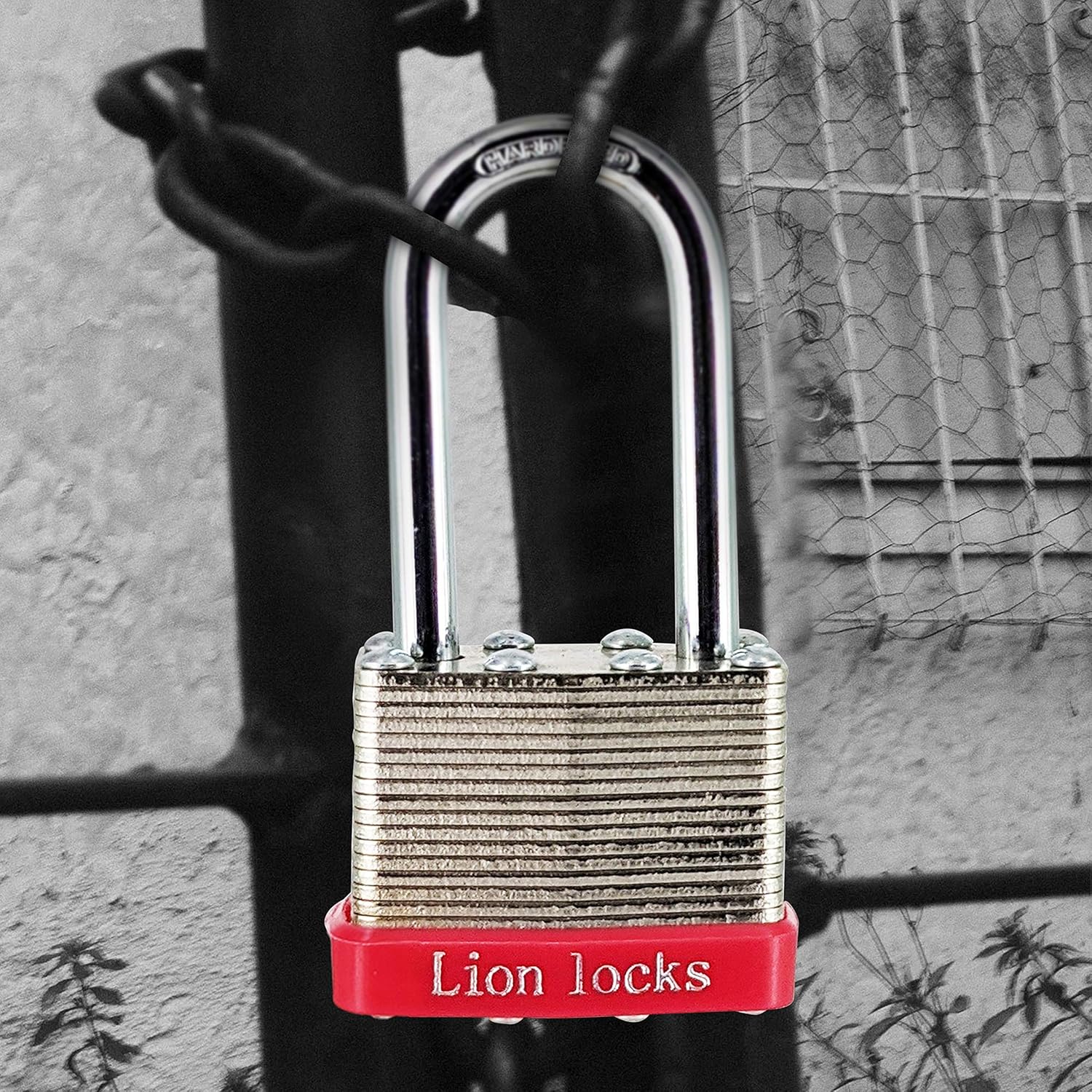24 Keyed-Alike Padlocks, 48 Keys, Hardened Steel Case, Brass Pin Cylinder R26553
