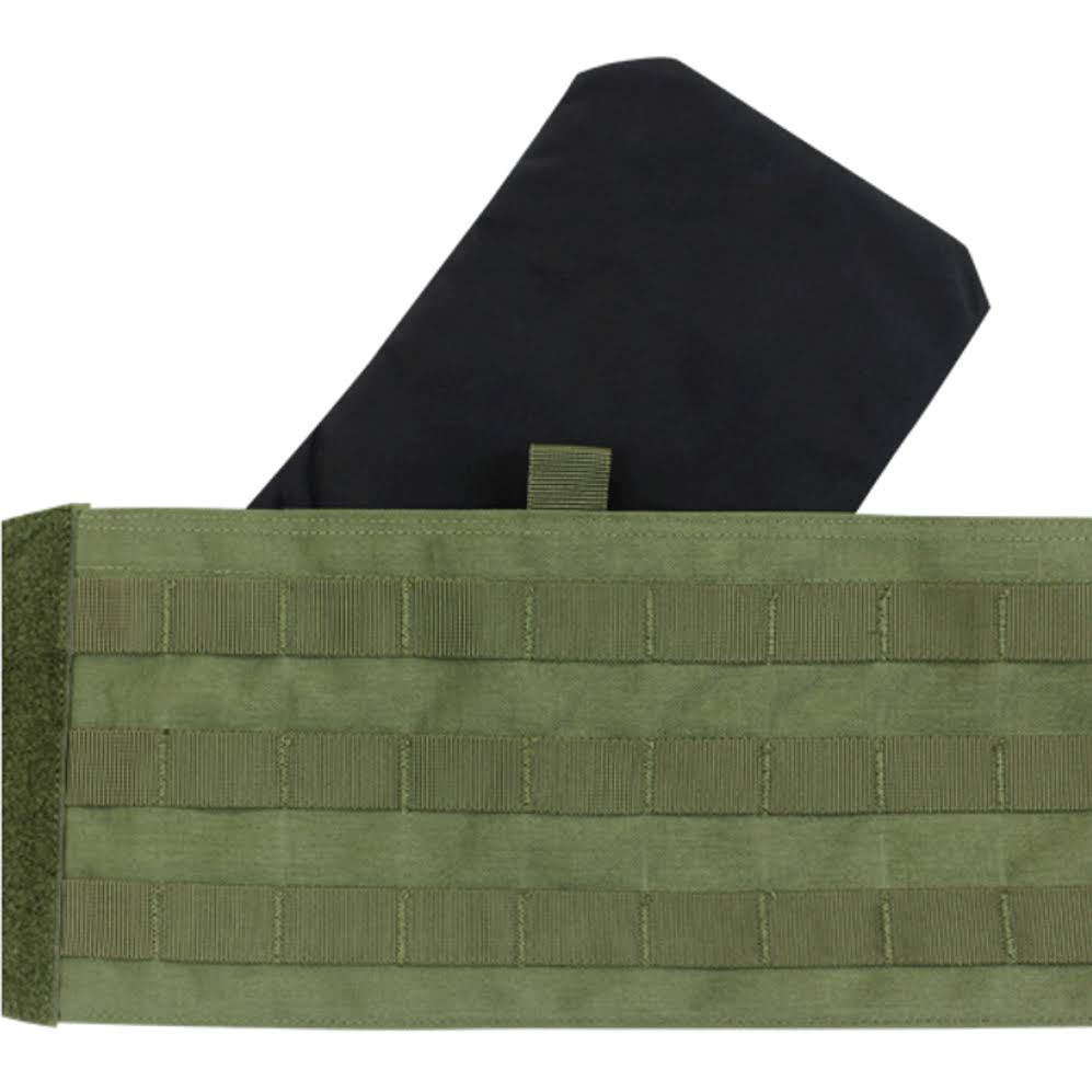 Releasable Plate Carrier Z823851