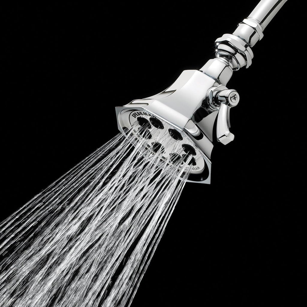 Polished Chrome Shower Head T629