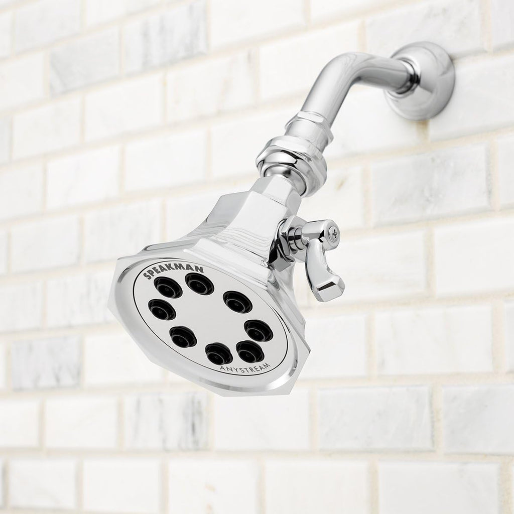 Polished Chrome Shower Head T629